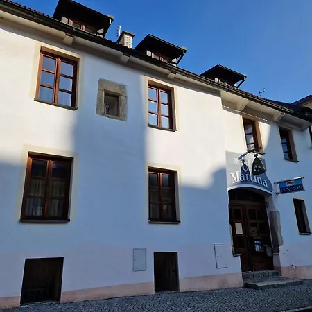 Guest house U Martina Domazlice